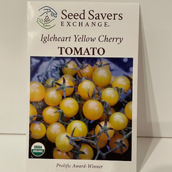 Igleheart Yellow Cherry Tomato, 1901 Heirloom, Organic